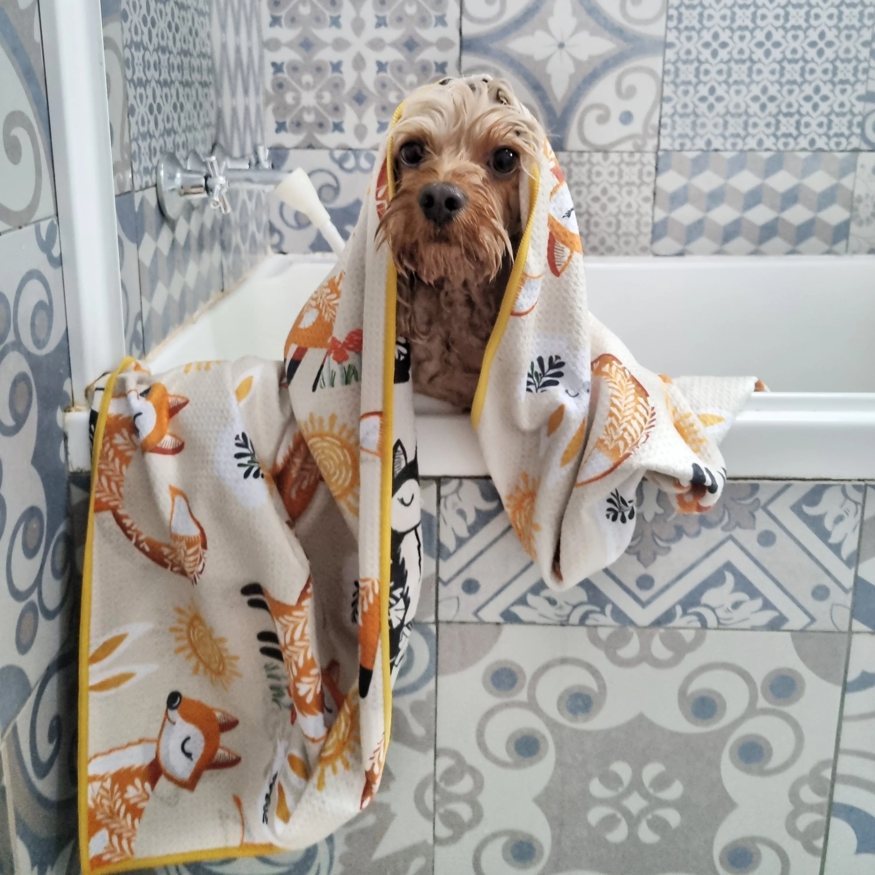 Foxy Tales Pet Travel and Bath Towel