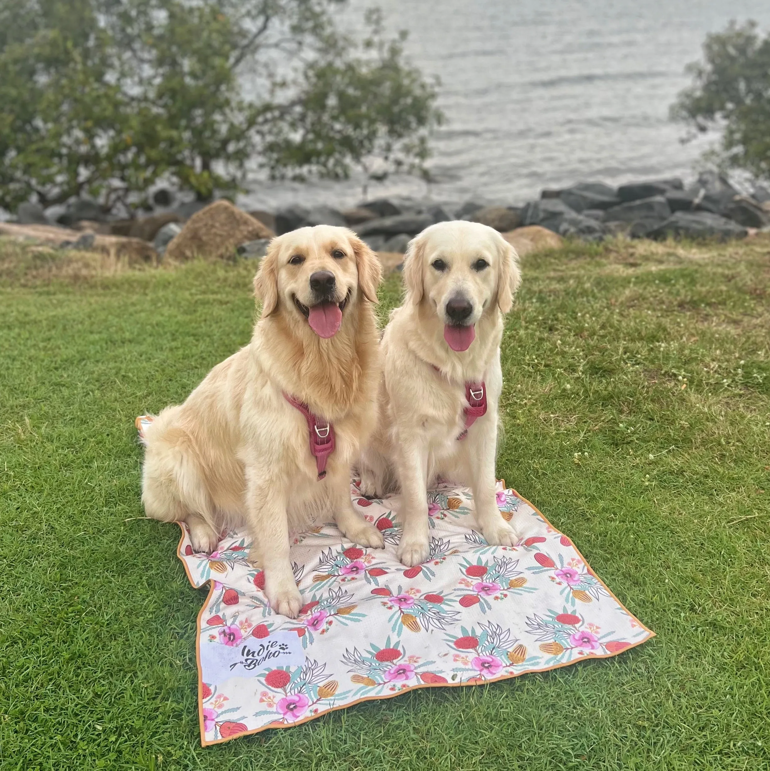 Native Flora Pet Travel and Bath Towel