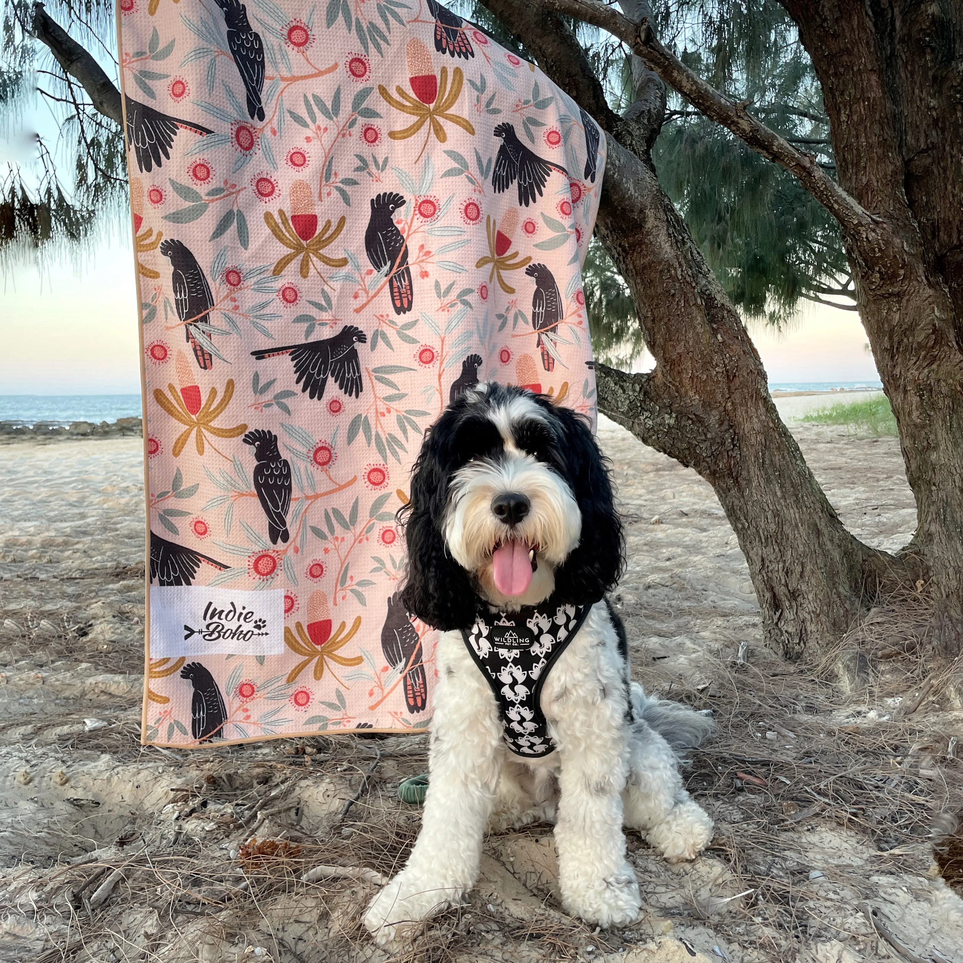 Sunset Cockatoo Dog Travel and Bath Towel